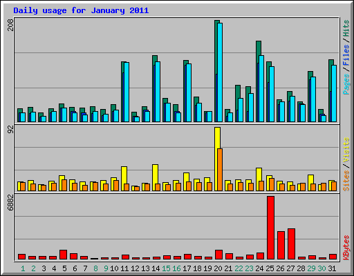 Daily usage for January 2011