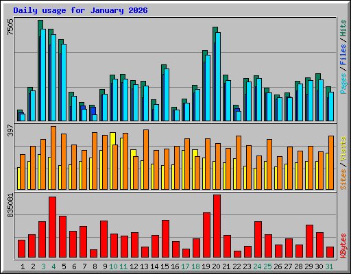 Daily usage for January 2026