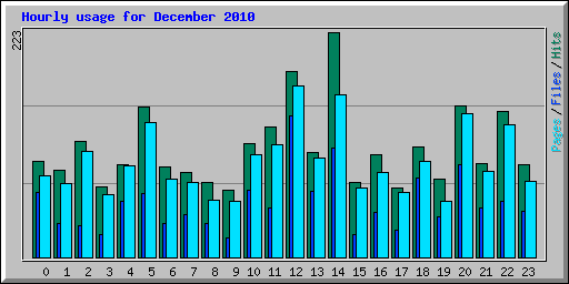 Hourly usage for December 2010