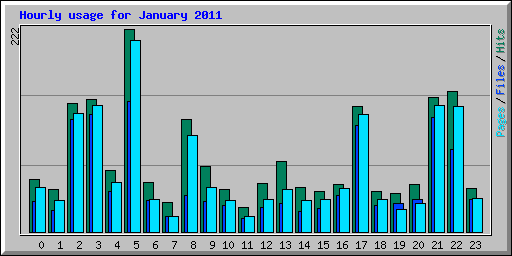 Hourly usage for January 2011