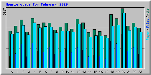 Hourly usage for February 2020