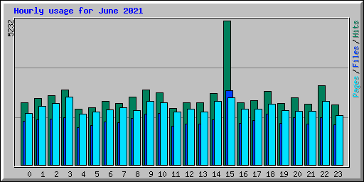 Hourly usage for June 2021