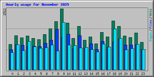 Hourly usage for November 2025