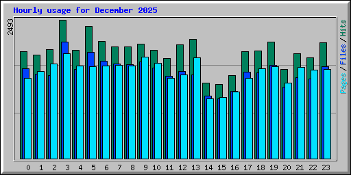 Hourly usage for December 2025