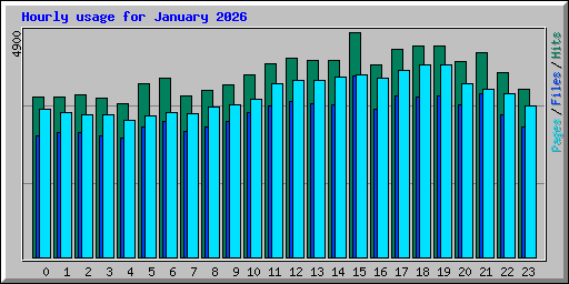 Hourly usage for January 2026