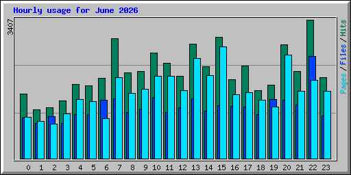 Hourly usage for June 2026