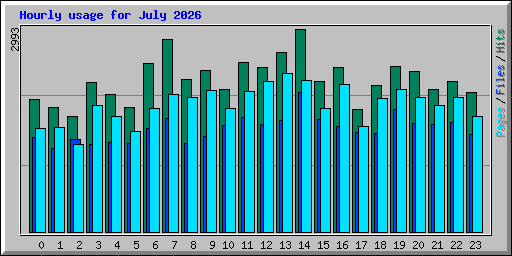 Hourly usage for July 2026