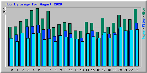 Hourly usage for August 2026
