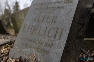 Read more about the article Alter jüdischer Friedhof